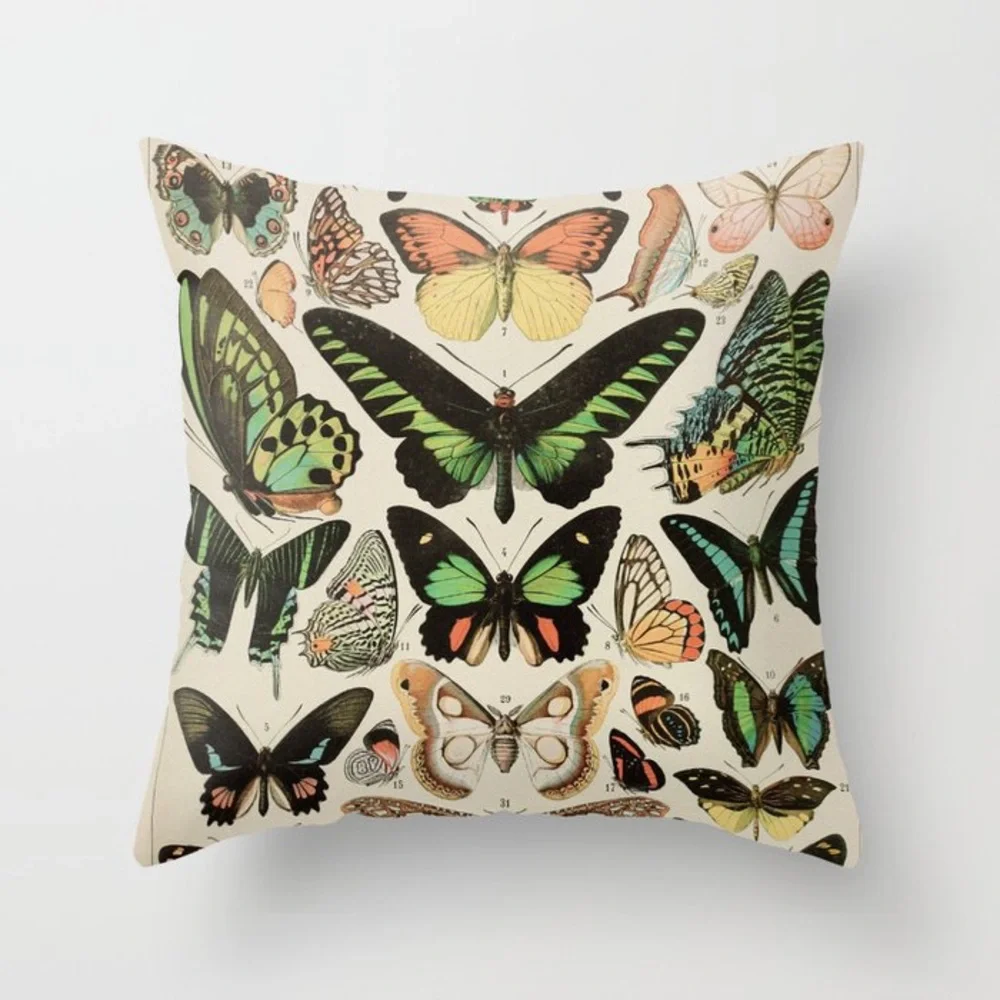 Luxury Home | Vintage Papillon Butterfly Gallery Printed Throw Pillow Cover 🦋